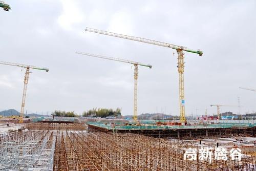 完善保安服務質量評估與客戶反饋機制的實施步驟