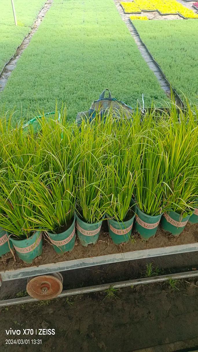保安服務(wù)專業(yè)性對(duì)企業(yè)安全防范效果的優(yōu)化作用