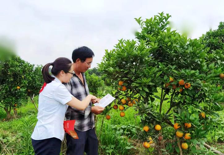 保安服務(wù)提升商場(chǎng)安全管理水平防范盜竊
