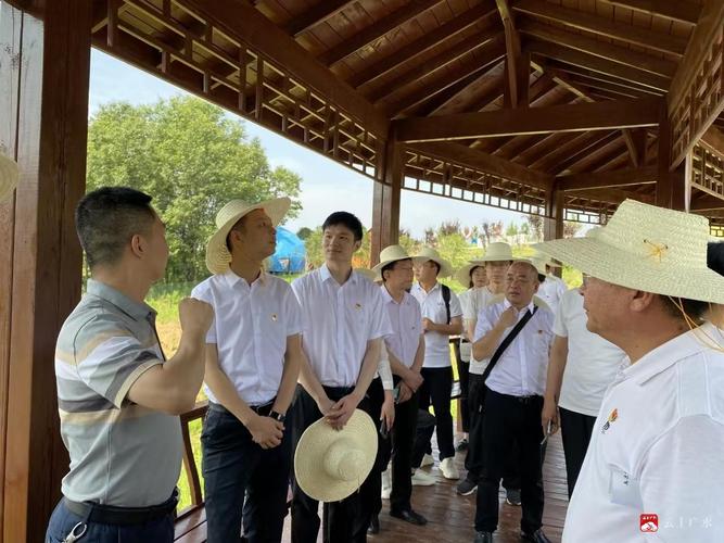 保安服務(wù)在預(yù)防犯罪和維護(hù)秩序中的效果