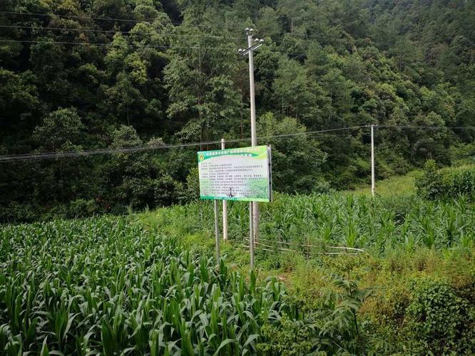 提升企業(yè)保安服務管理的關鍵因素與培訓方法