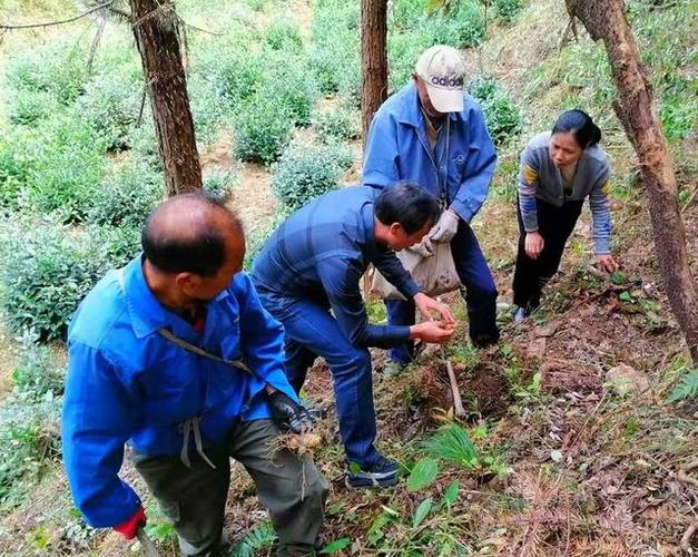 員工安全感提升指南保安服務(wù)在其中的關(guān)鍵作用