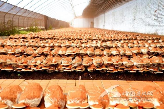 保安服務(wù)如何在大樓管理中提升安全防范效果